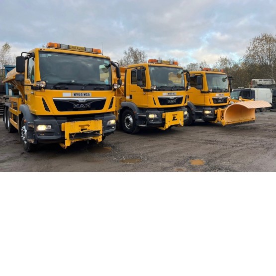 2015 MAN TGM 26.290 EURO 6 in Gritters